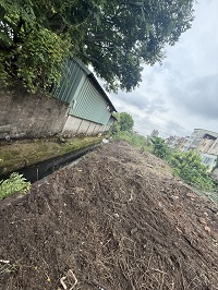 台中市梧棲區除草