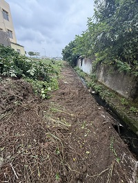 台中市梧棲區除草