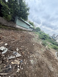 台中市梧棲區除草
