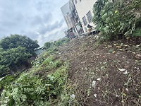 台中市梧棲區除草