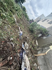 台中市梧棲區除草