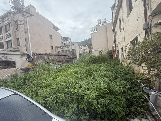 台中豐原除草