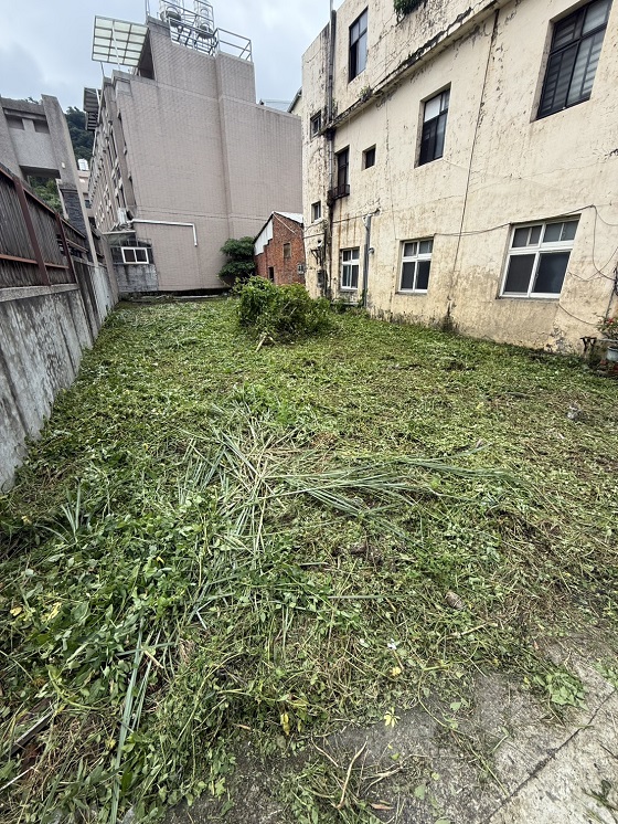 台中豐原除草