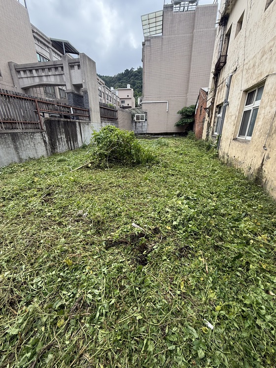 台中豐原除草