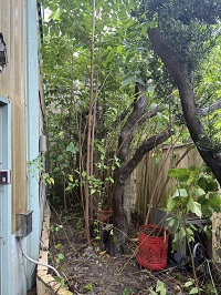 台中市豐原區除草