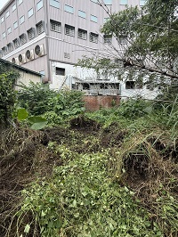 台中市豐原區除草