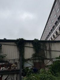 台中市豐原區除草