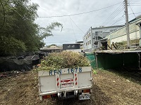 台中市豐原區除草