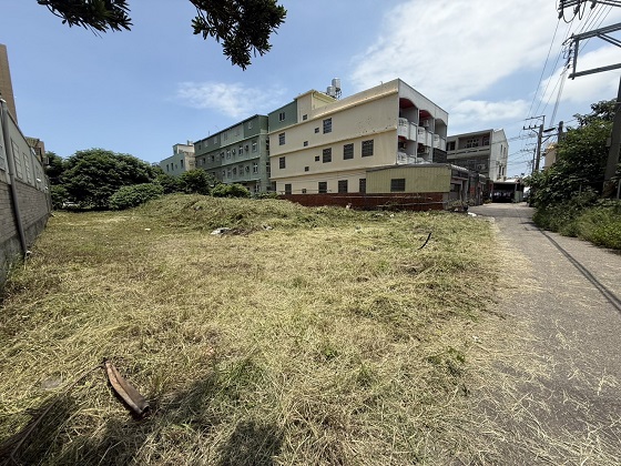 台中梧棲除草