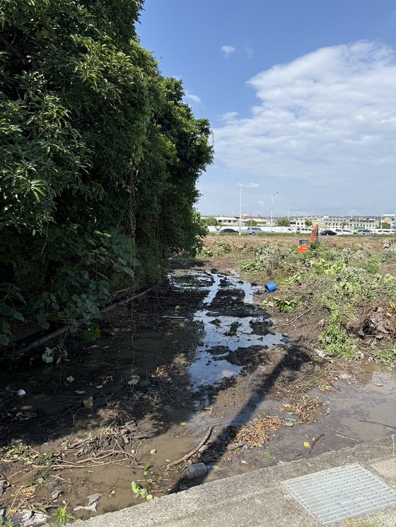 台中梧棲除草
