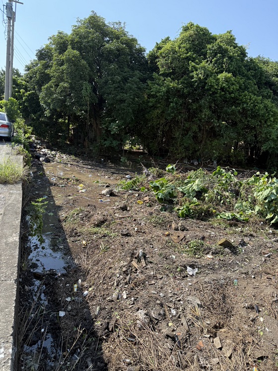 台中梧棲除草
