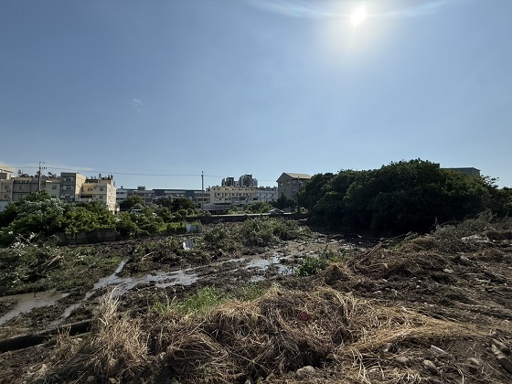 台中梧棲除草