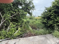 台中除草