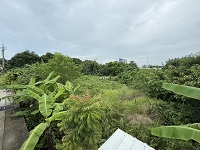 台中除草