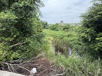 台中除草
