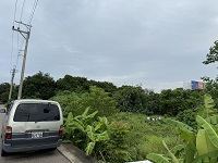 台中除草