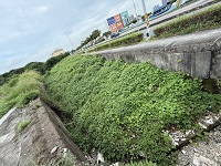 台中除草