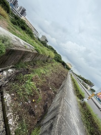 台中除草