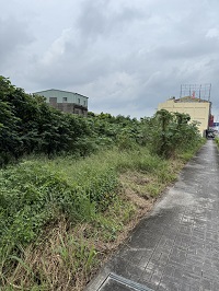 台中除草