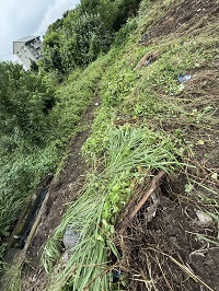 台中除草