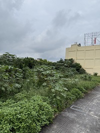 台中除草