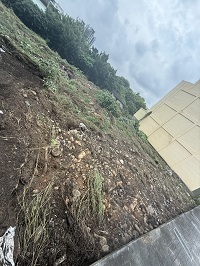 台中除草