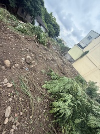 台中除草