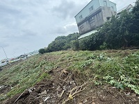 台中除草