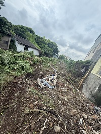 台中除草