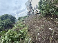 台中除草
