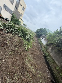 台中除草