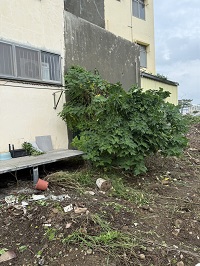 台中除草