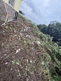 台中除草