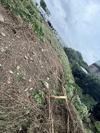 台中除草