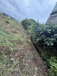 台中除草