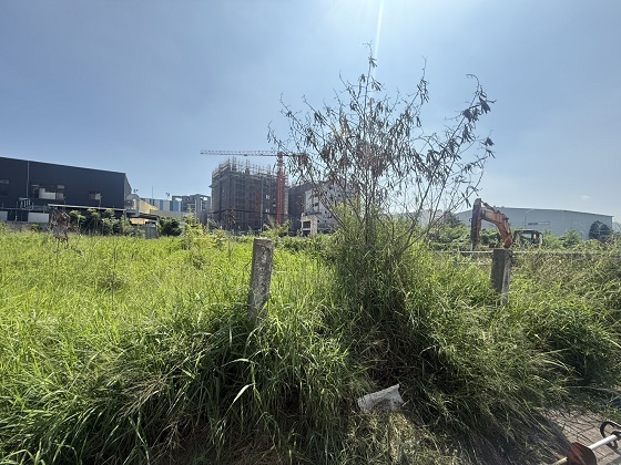 台中北屯除草