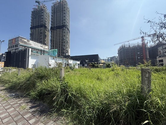 台中北屯除草
